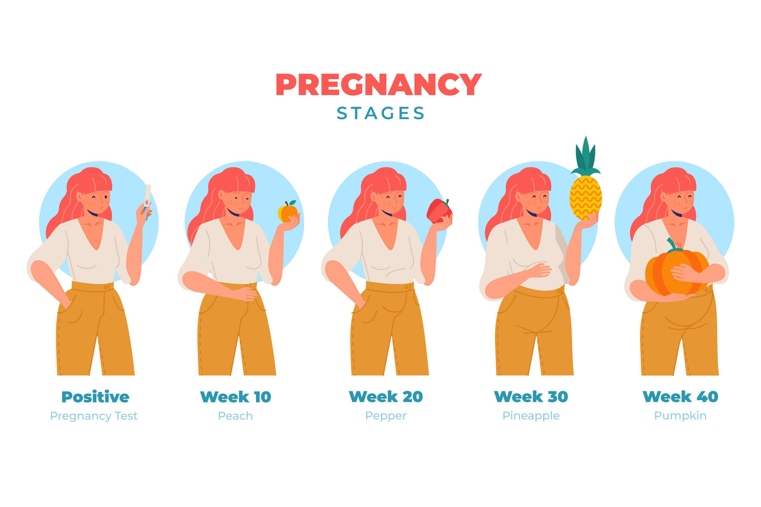 Pregnancy Trimester Guide