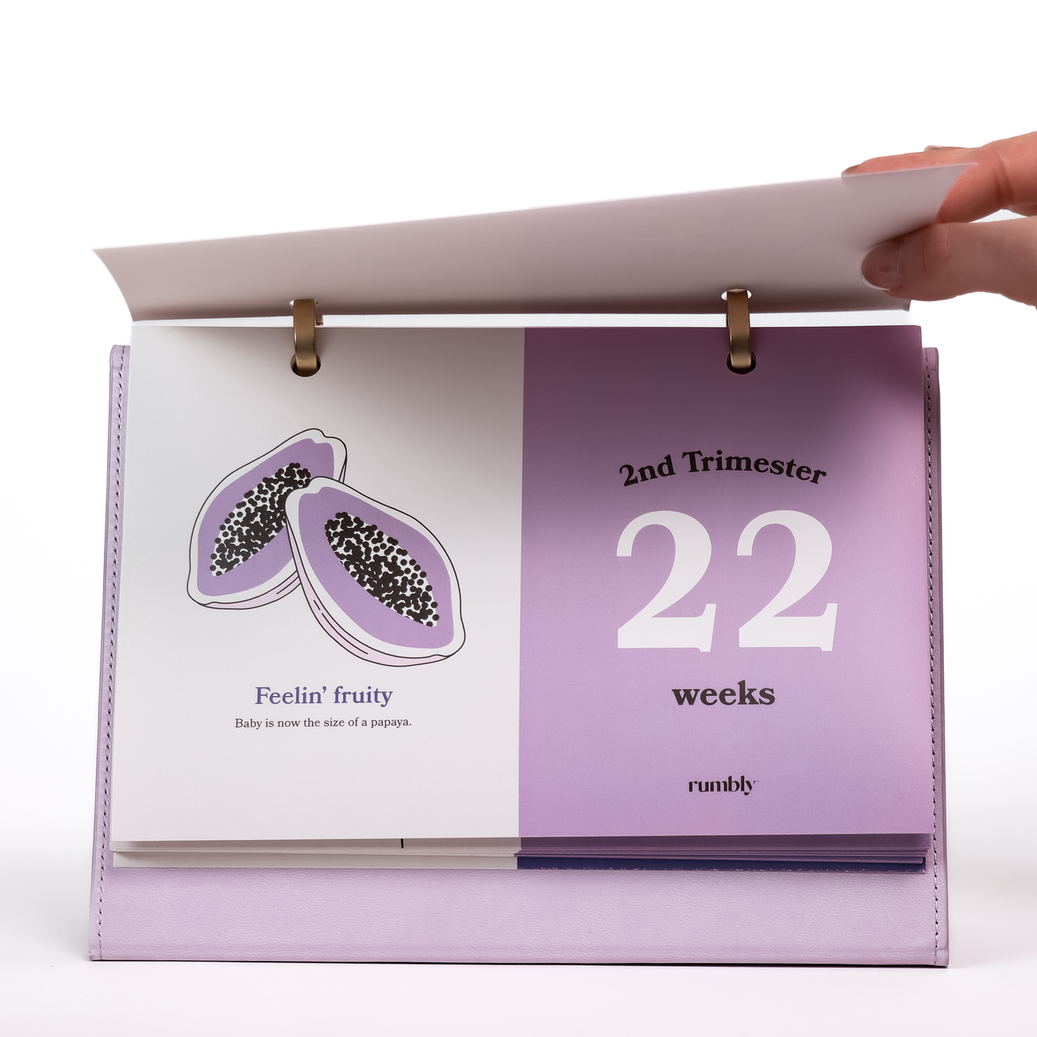 Rumbly Pregnancy Milestone Tracker